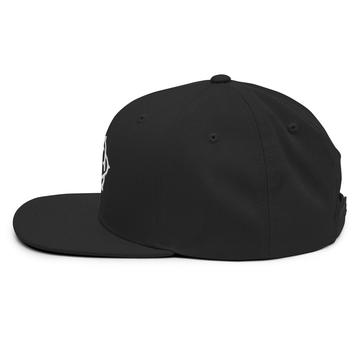 Embroidered Snapback Hat