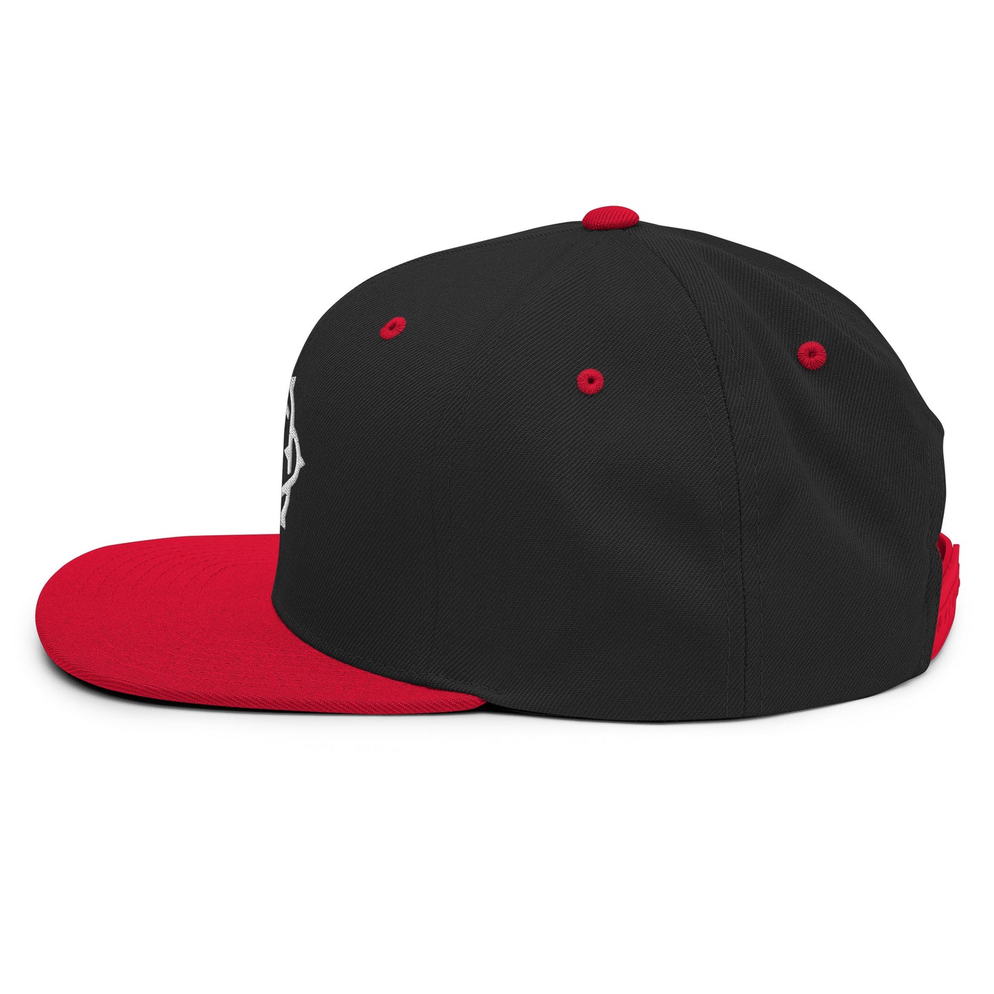 Embroidered Snapback Hat