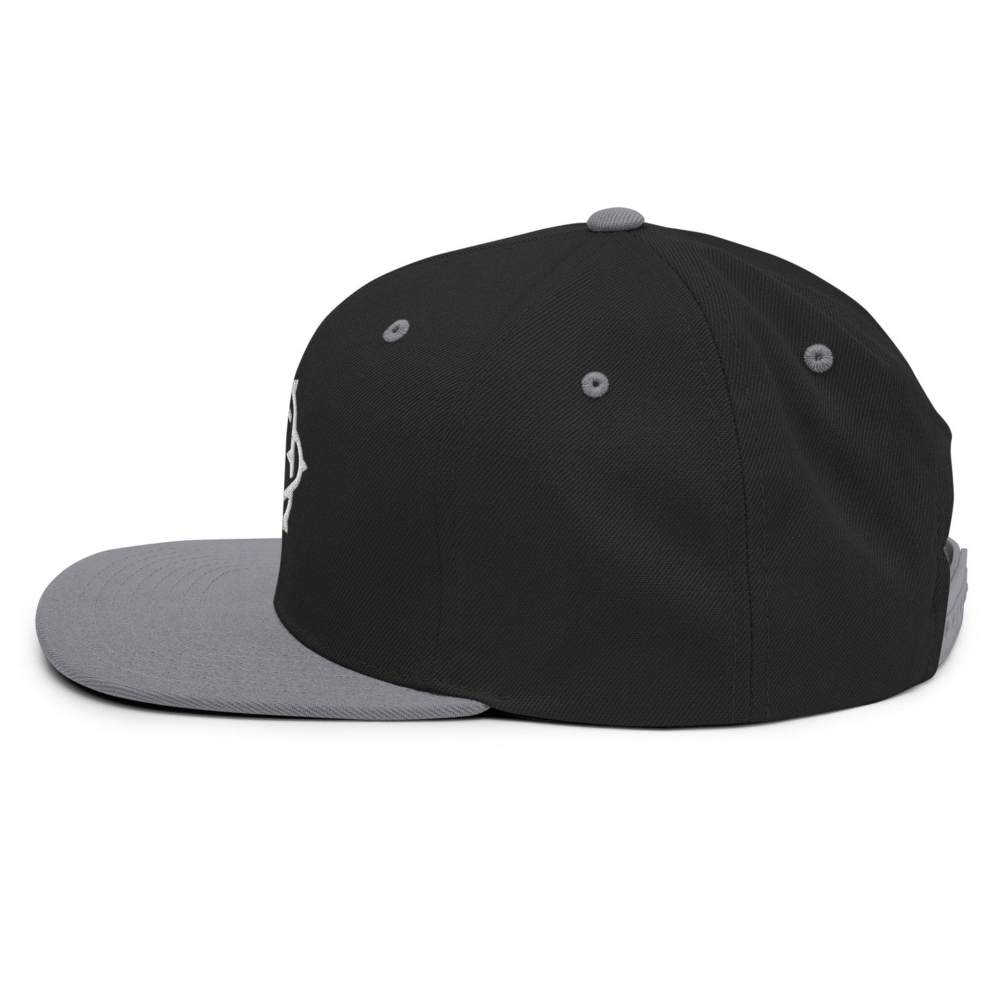 Embroidered Snapback Hat