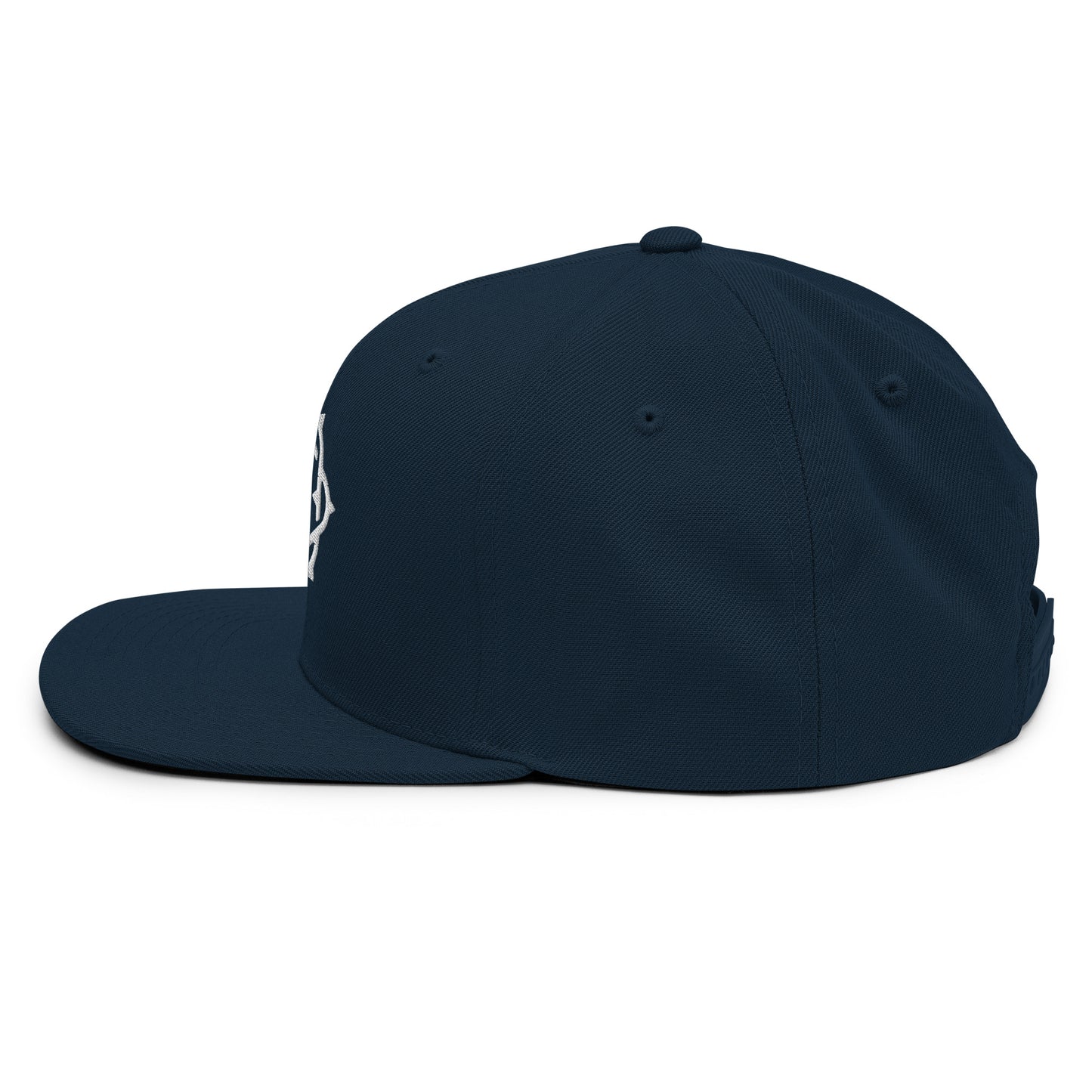 Embroidered Snapback Hat