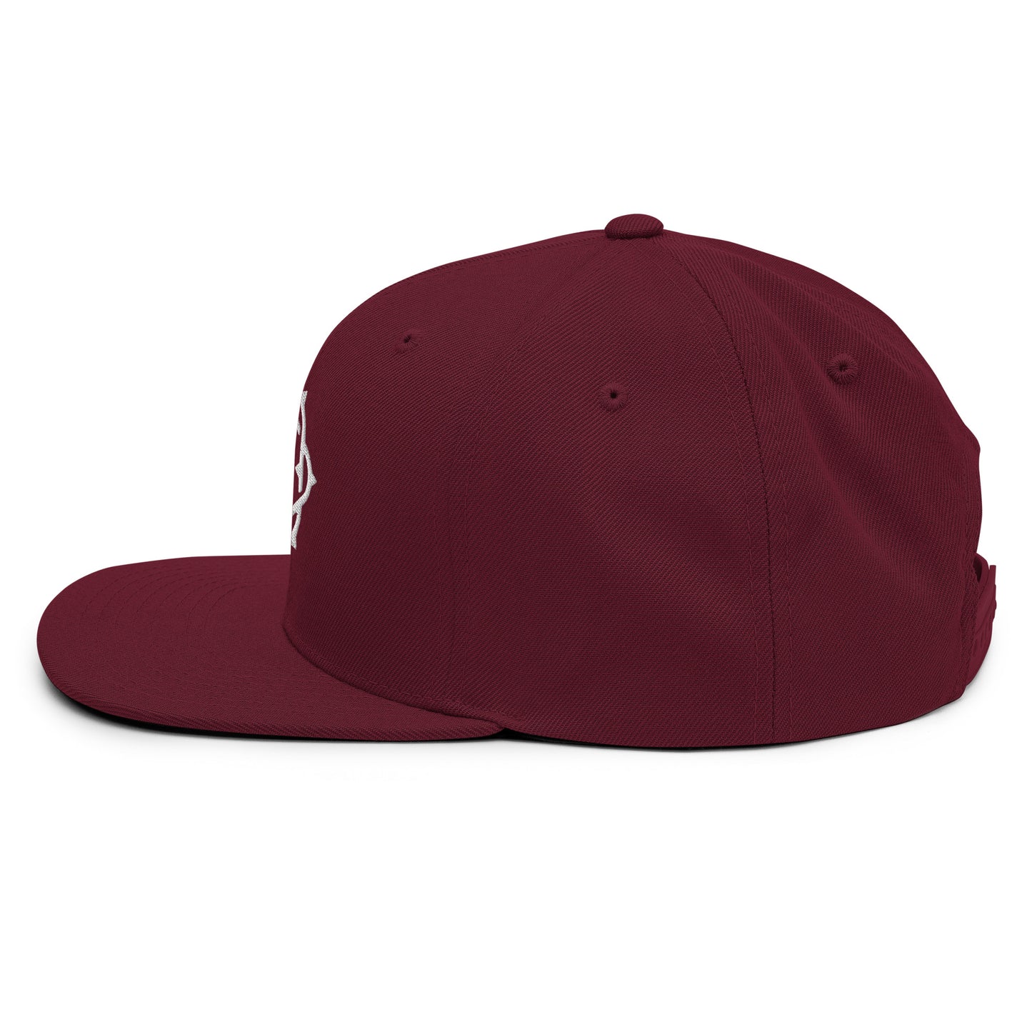 Embroidered Snapback Hat
